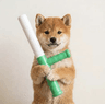 baton