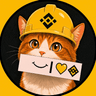Binance Cat