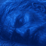 the sleeping giant