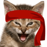 Red Kitten Crew