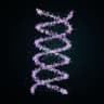 DNA