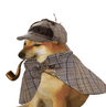 pipedog