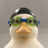 Nasduck