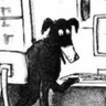 Anonymous Dog