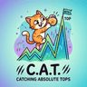 Catching Absolute Tops